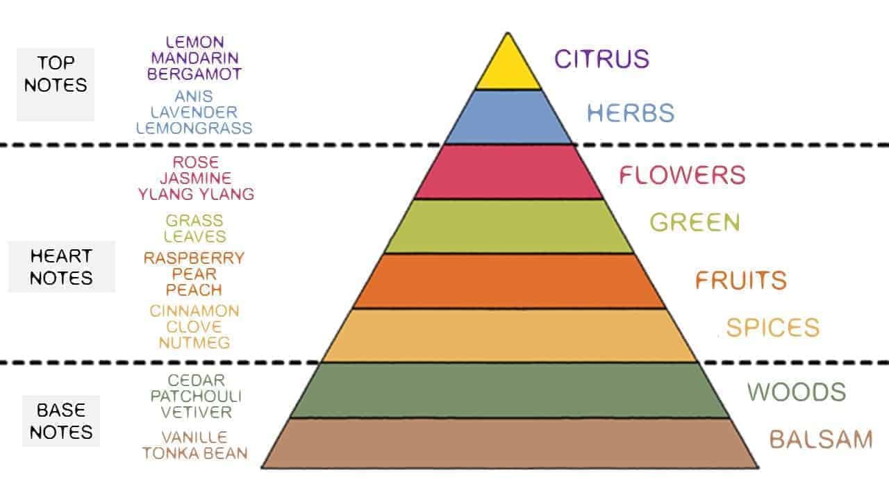 Fragrance Pyramid, Too Manly